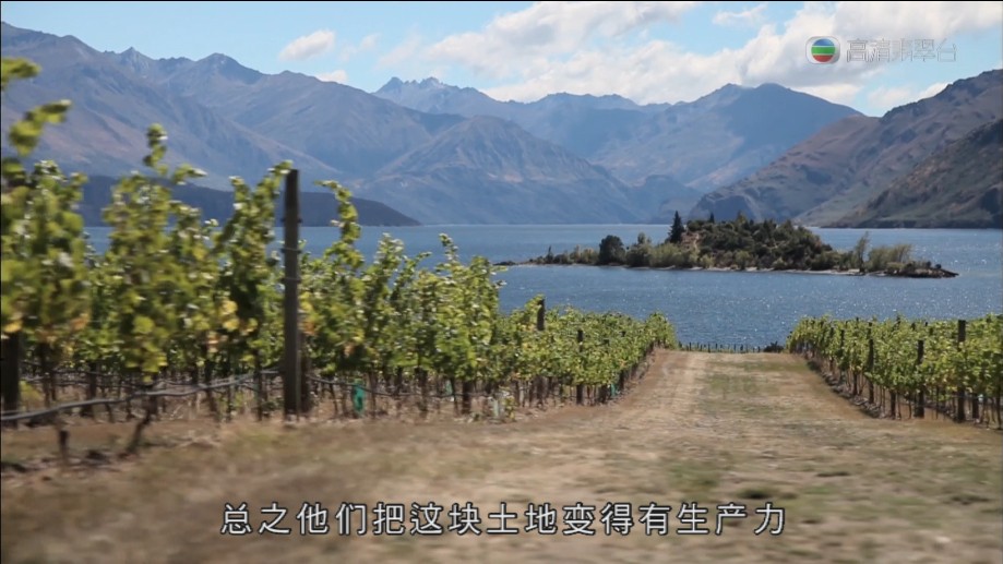 南面有伊甸 New Zealand from Above