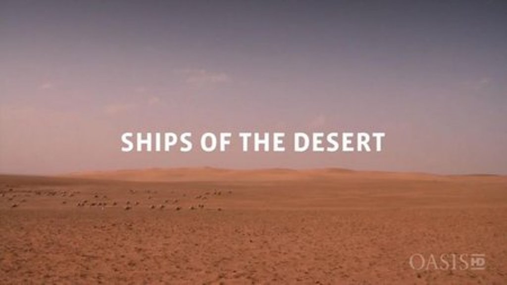 沙漠之舟 Ships of the Desert