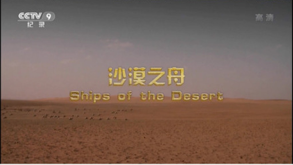沙漠之舟 Ships of the Desert