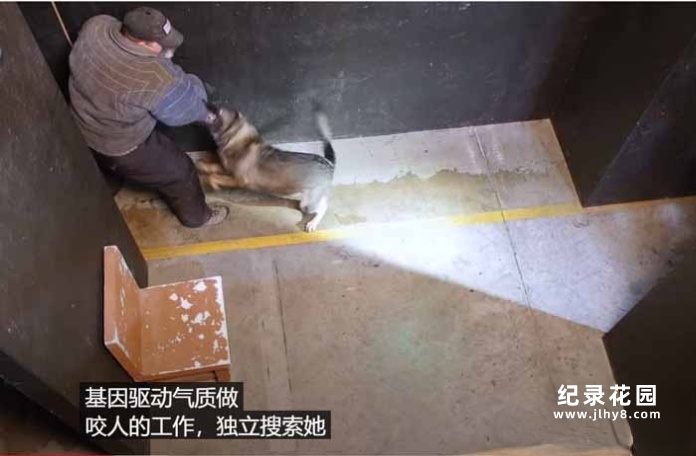 美军实战特训真人秀《射手训练营》第2季全59集中字 自媒体解说素材百度云盘下载 1080P/MP4/7G