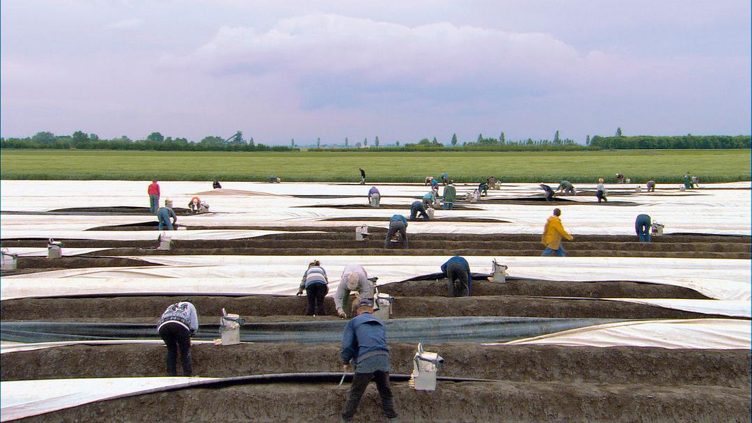 我们每日的面包 Unser täglich Brot