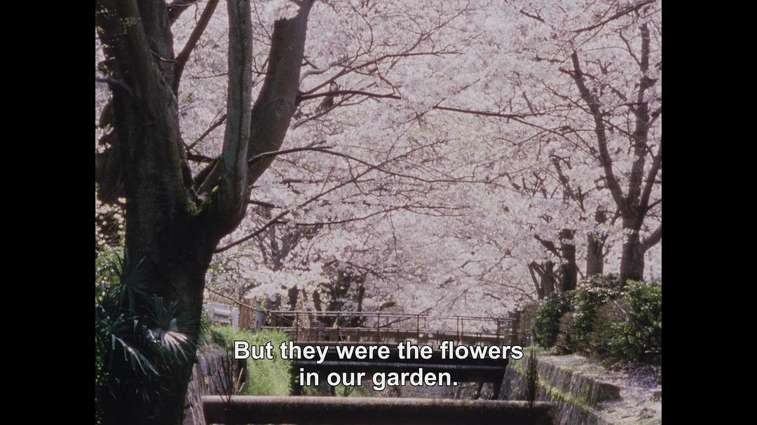 京都 母之故乡 Kyoto, My Mother's Place