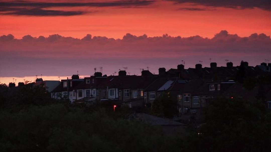 狐狸生存之战 Fox Wars