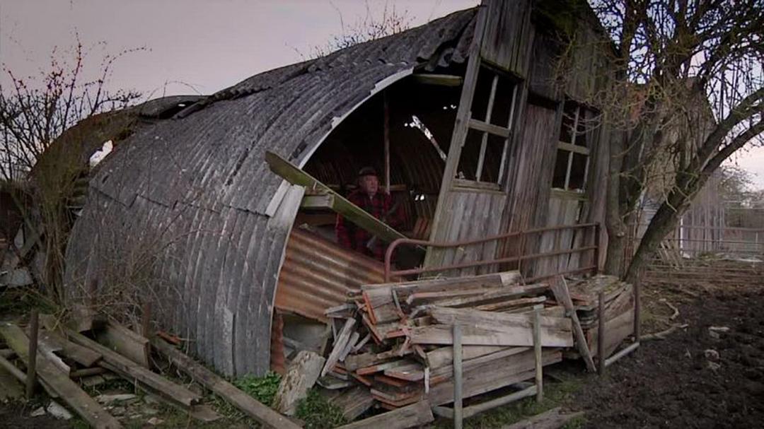 狐狸生存之战 Fox Wars