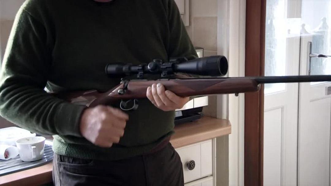 狐狸生存之战 Fox Wars