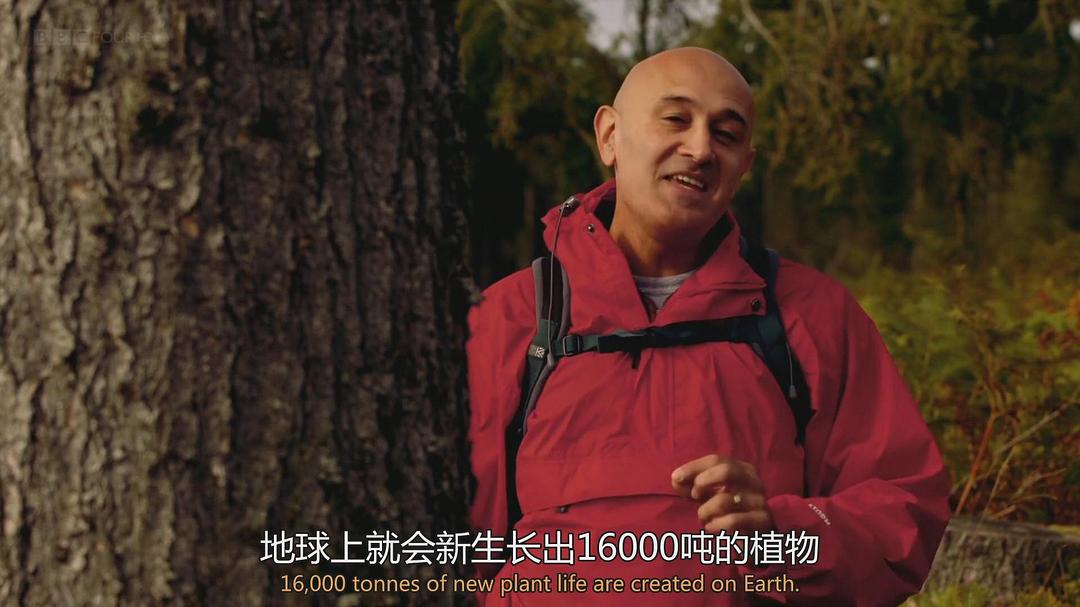 量子力学揭秘 The Secrets of Quantum Physics