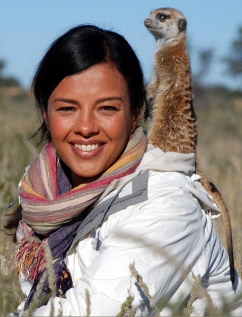 恋爱中的动物 Animals and Love