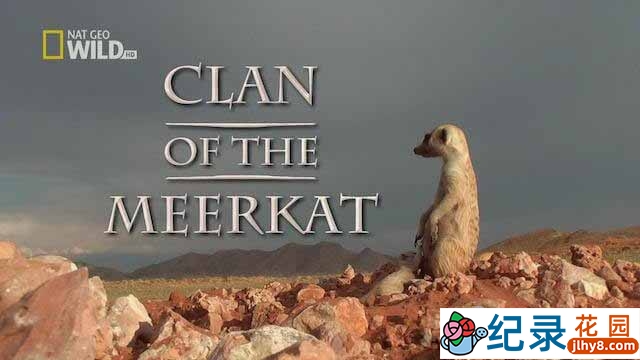 国家地理自然生态纪录片《狐獴家族 Clan Of The Meerkat》全1集 720P/1080i纪录片资源百度云盘下载