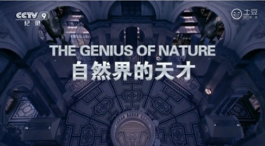大自然的奇迹 Richard Hammond's Miracles of Nature