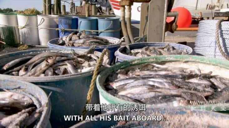 龙虾捕手 Lobstermen