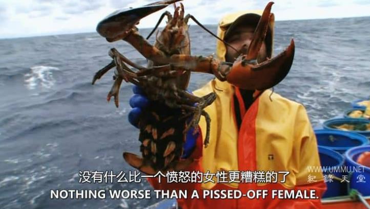 龙虾捕手 Lobstermen