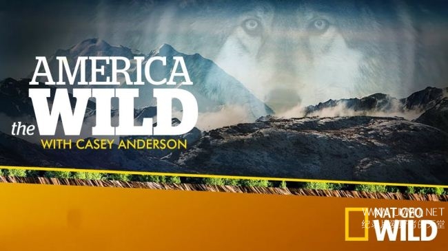 荒野远征：美国吸血蝙蝠 America The Wild: American Vampire