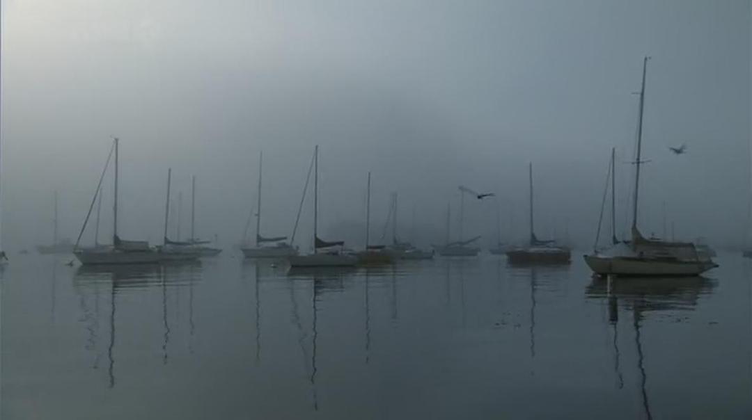 自然世界：海獭的百万宝宝 Sea Otters: A Million Dollar Baby