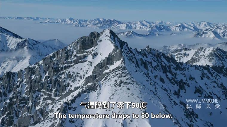 美国北极 American Arctic