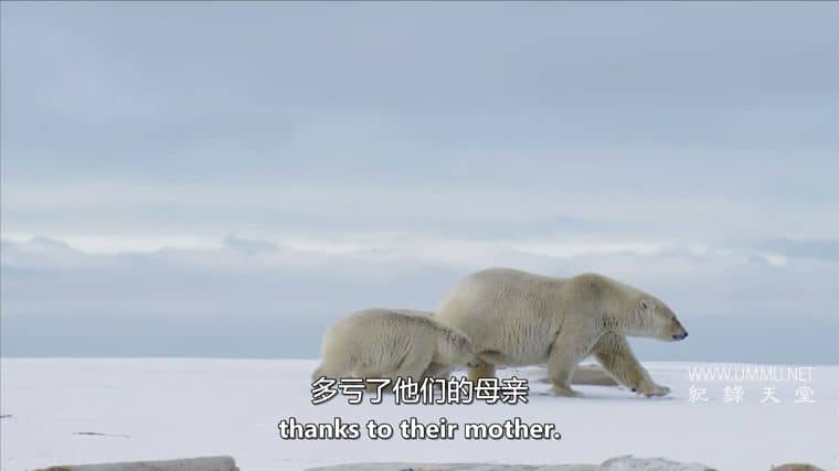 美国北极 American Arctic