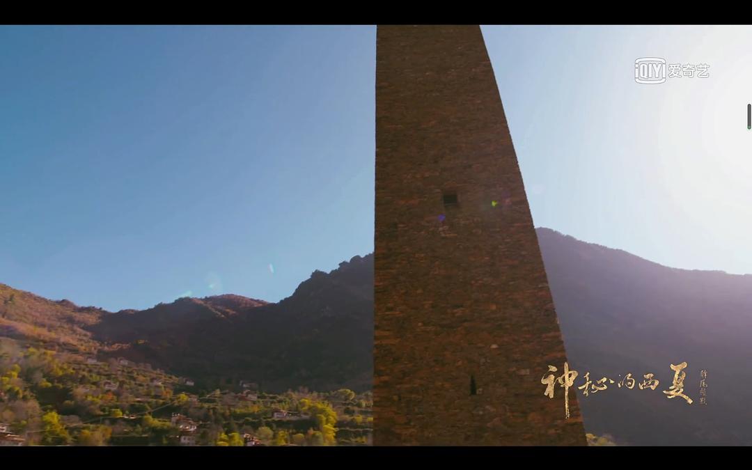 神秘的西夏