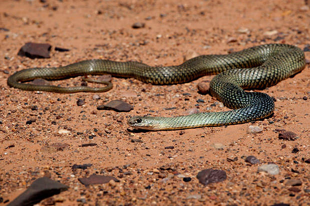 极限重生 Bear Grylls: Escape From Hell