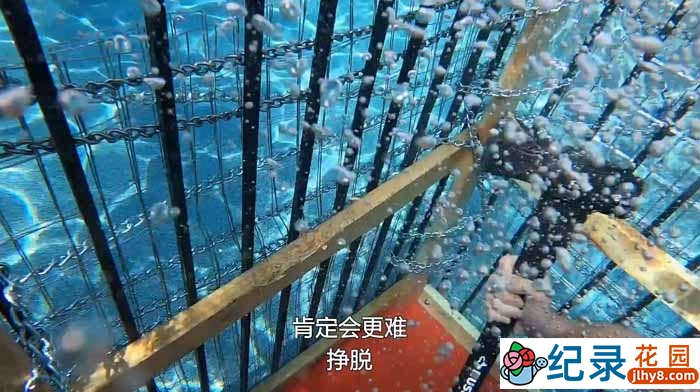 钱哥疯狂真人秀《奇葩挑战赛》第11季99集中字 1080高清纪录片解说素材百度云盘下载