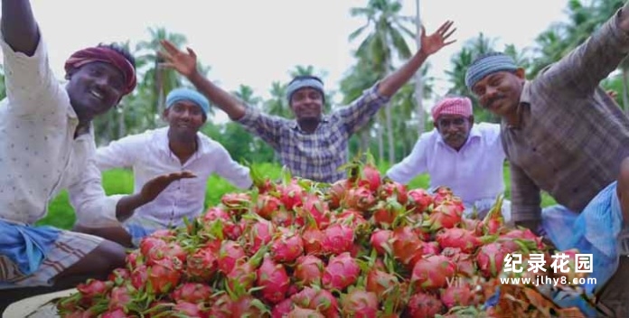 世界暗黑料理纪录片《印度古法美食》第1季中字 4K高清纪录片解说素材百度云盘下载