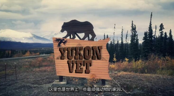 动物侠医/育空兽医  第1季  Dr. Oakley, Yukon Vet