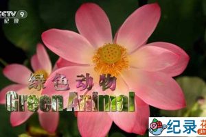 EBS植物纪录片《绿色动物 Green Animals》全1集中字 TS/蓝光高清纪录片资源百度云盘下载