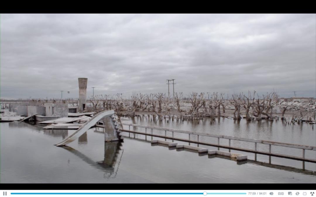 没有人的文明 Homo sapiens