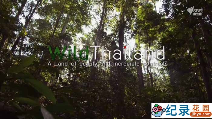 国家地理自然生态纪录片《野性泰国 Wild Thailand》全2集 720P/1080i高清纪录片百度云下载