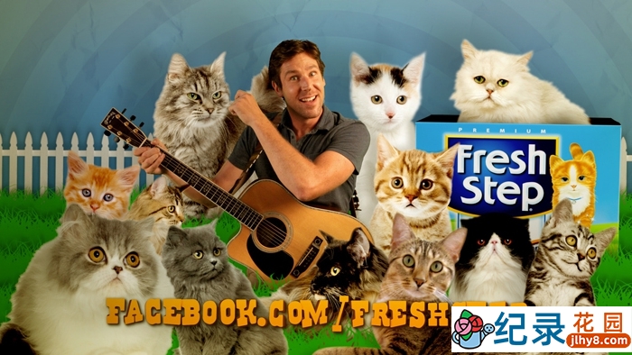 探索频道萌宠纪录片《为猫痴狂 Must Love Cats》全6集 720P/1080i高清纪录片百度云