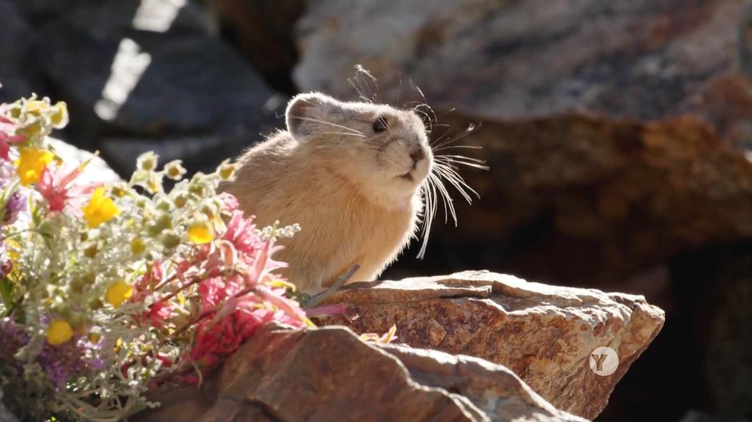自然：约塞米蒂国家公园 Nature: Yosemite
