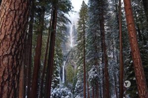 自然：约塞米蒂国家公园 Nature: Yosemite