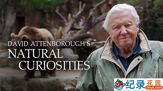 野生动物研究纪录片《进化奇技大盘点》第1季原版无字 1080高清纪录片资源百度云盘下载
