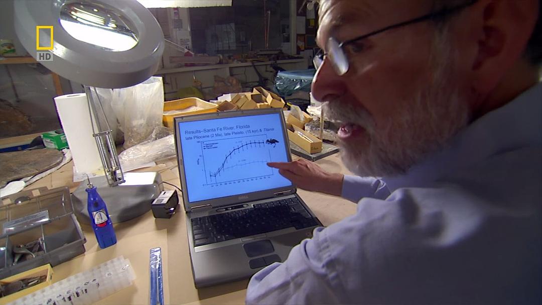 史前掠食动物 Prehistoric Predators