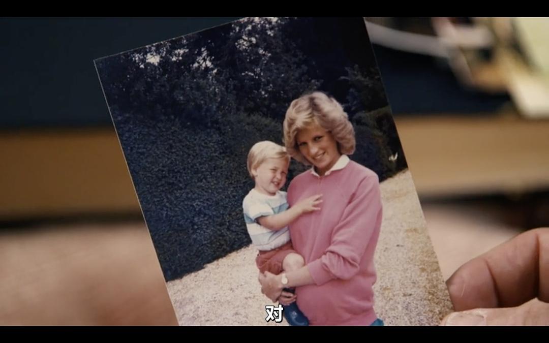 我们的母亲，戴安娜 Diana, Our Mother: Her Life and Legacy