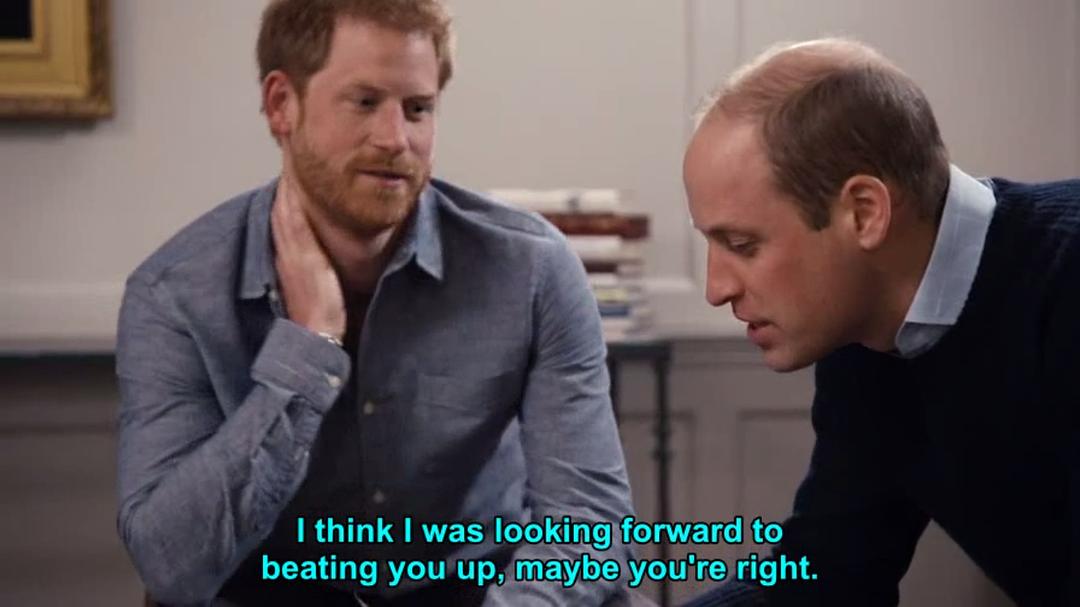 我们的母亲，戴安娜 Diana, Our Mother: Her Life and Legacy