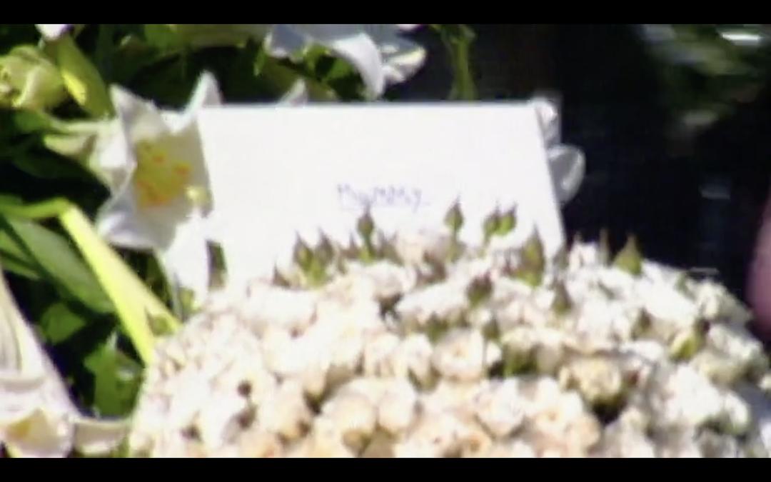 我们的母亲，戴安娜 Diana, Our Mother: Her Life and Legacy