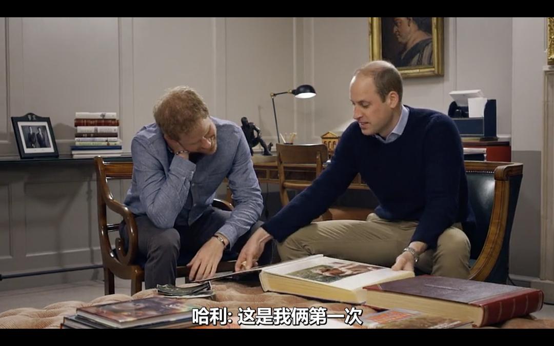 我们的母亲，戴安娜 Diana, Our Mother: Her Life and Legacy