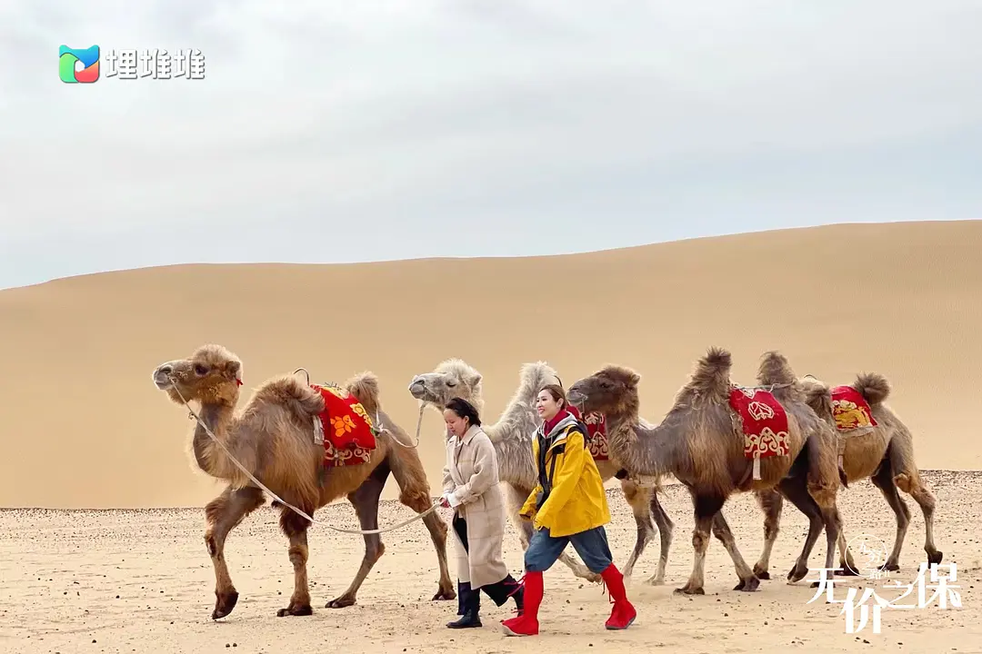 无穷之路II：无价之保 無窮之路 II – 無價之保