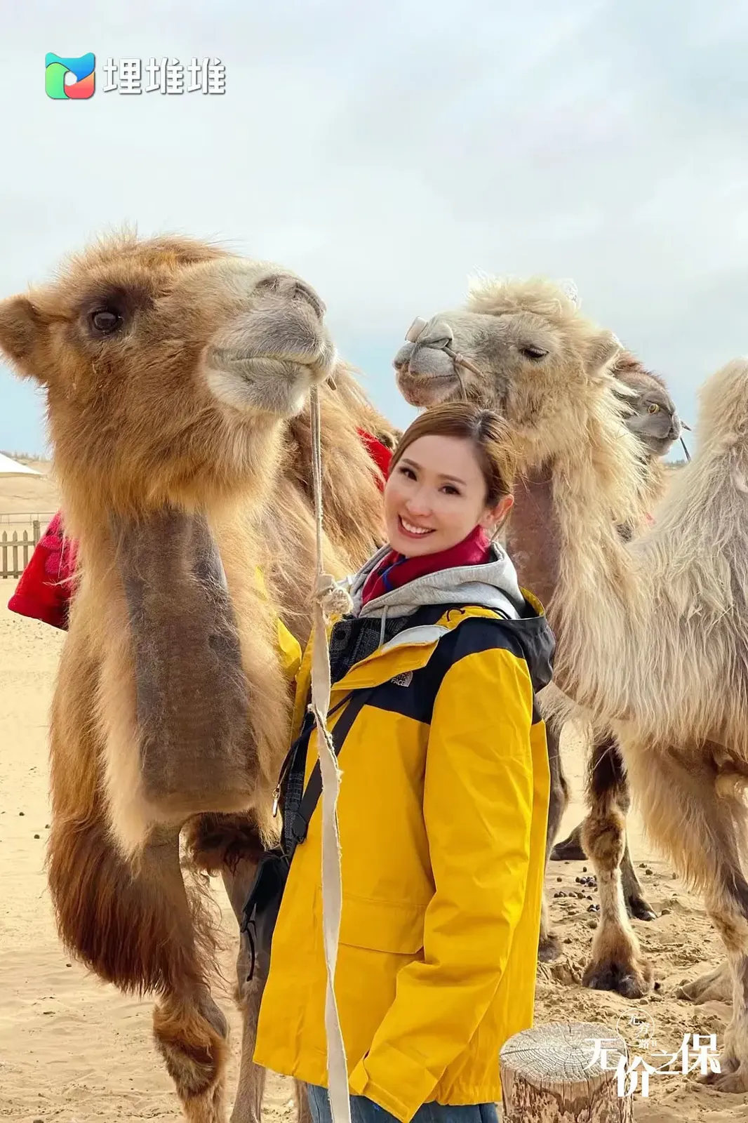 无穷之路II：无价之保 無窮之路 II – 無價之保