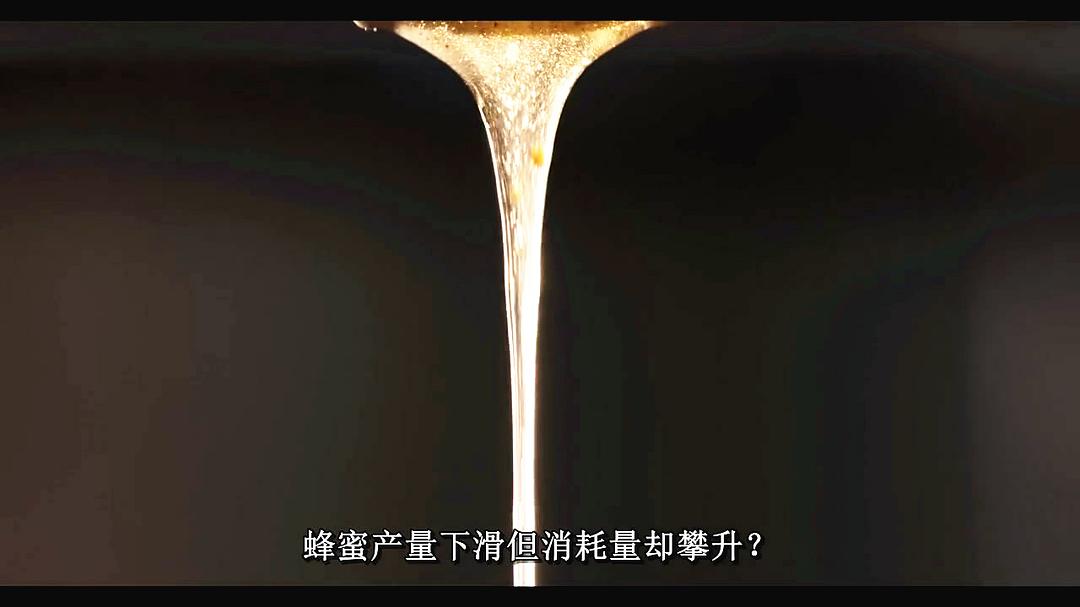 腐烂 第一季 Rotten Season 1