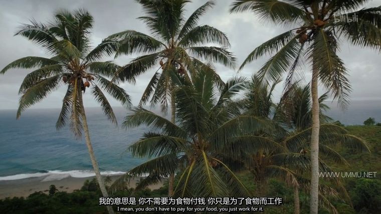 地球觉醒之旅 第二季 1000 Days for the Planet: Human Adventure 2013