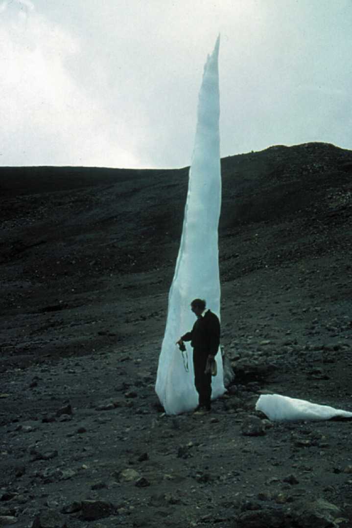 难以忽视的真相 An Inconvenient Truth