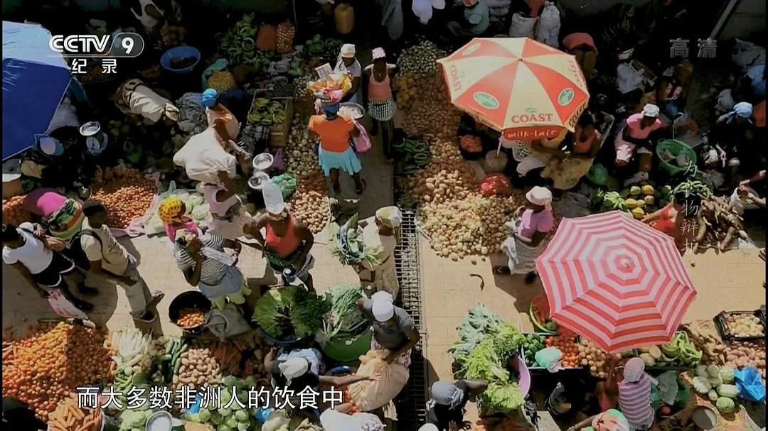 为食物辩护 In Defense of Food