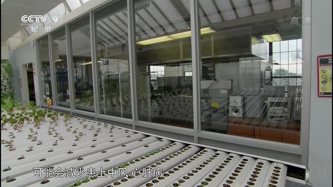 为食物辩护 In Defense of Food