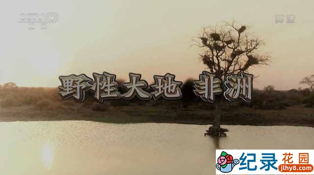 国家地理自然生态纪录片《野性大地 非洲 African Wild》全8集 720P/1080i高清纪录片资源百度云盘下载