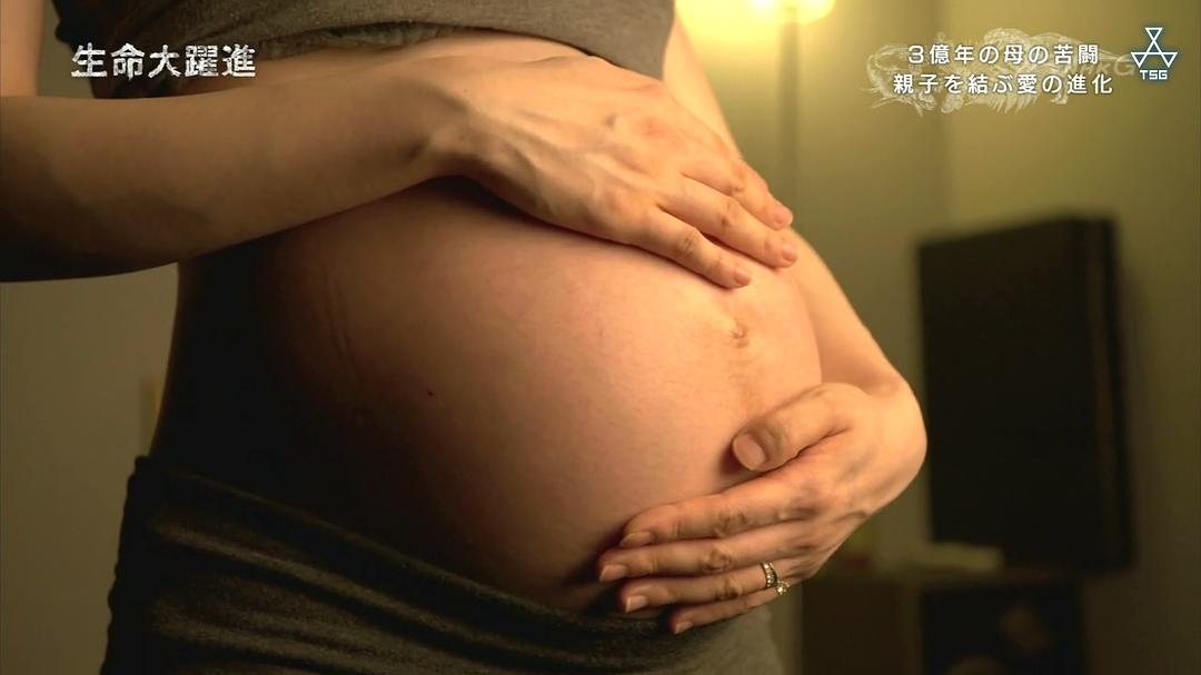 生命大跃进 生命大躍進