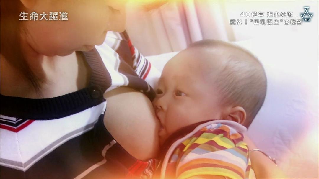 生命大跃进 生命大躍進