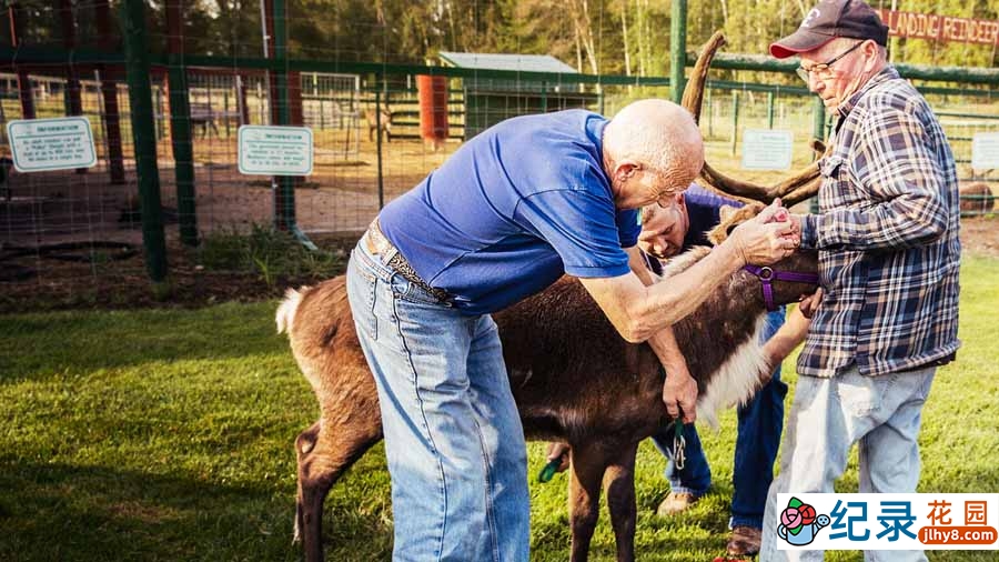 国家地理妙手兽医纪录片《动物神医 The Incredible Dr.Pol》第12季全10集中字 纪录片解说素材百度云盘下载 720/MKV/14.6G