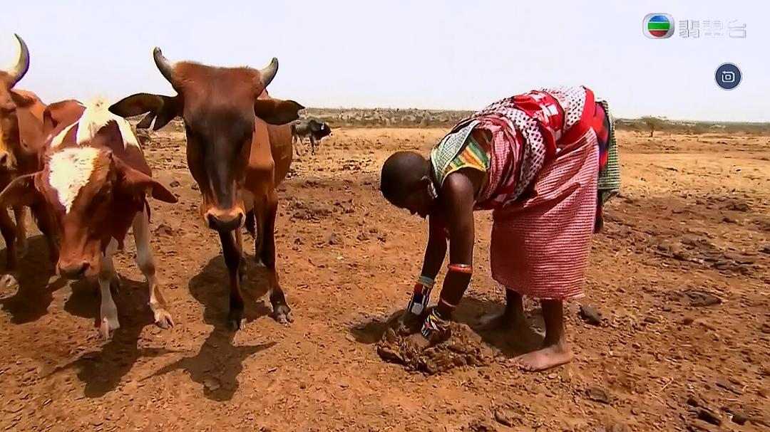 TVB台庆纪录片：活着