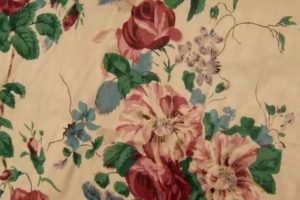 维多利亚时代的人们 The Victorians