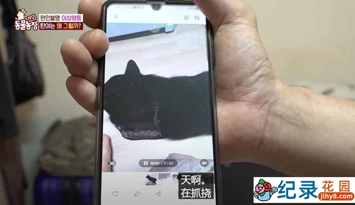 趣味动物行为纪录片《TV动物农场 短视频版》第14季中字 1080P高清自媒体解说素材百度云盘下载